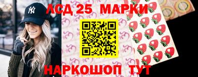индика Абинск