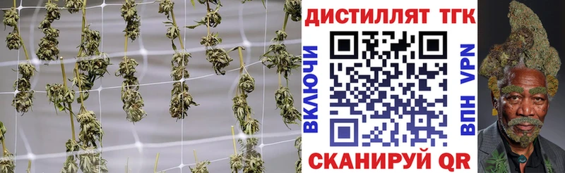 как найти закладки  Златоуст  Дистиллят ТГК концентрат 