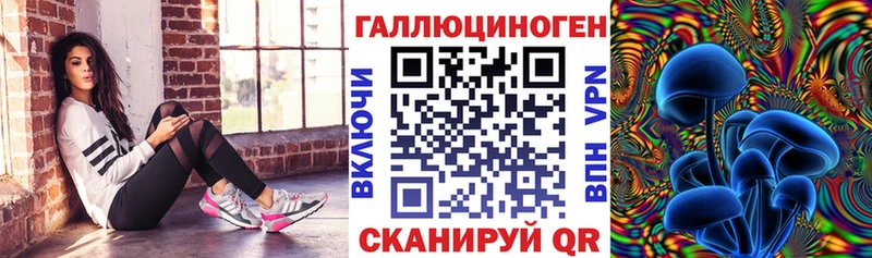 Галлюциногенные грибы Psilocybe  Златоуст 