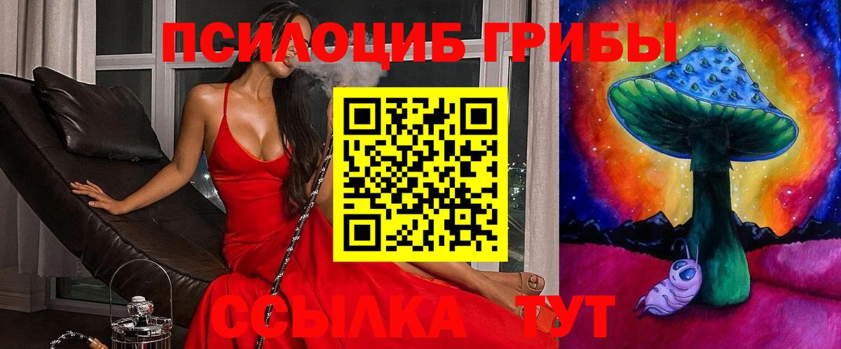 Златоуст  Галлюциногенные грибы Cubensis  Вход с VPN 