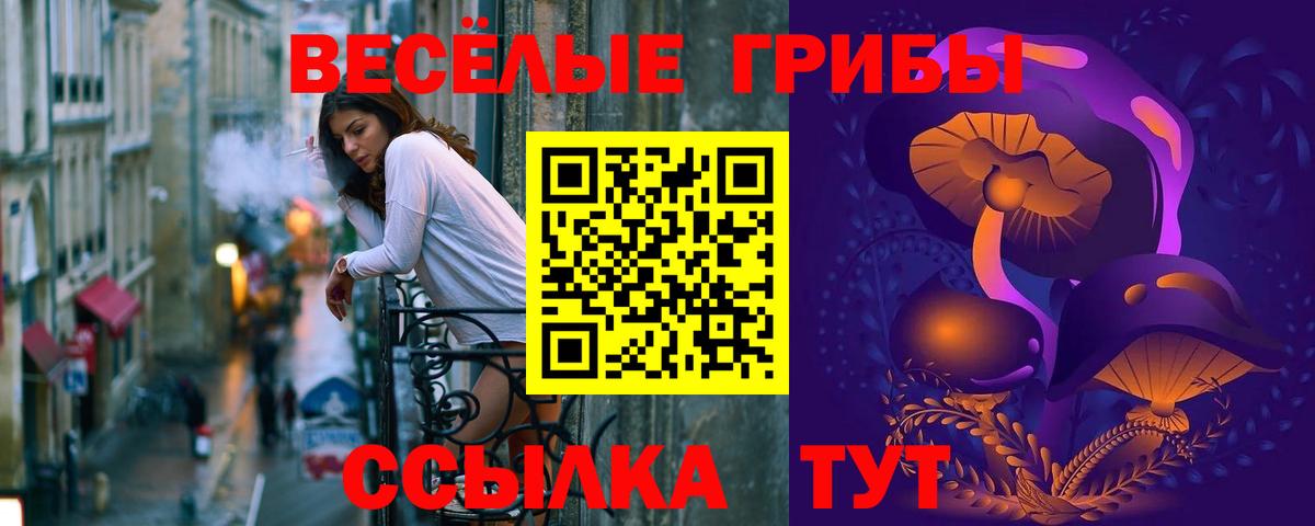 Галлюциногенные грибы мицелий Златоуст